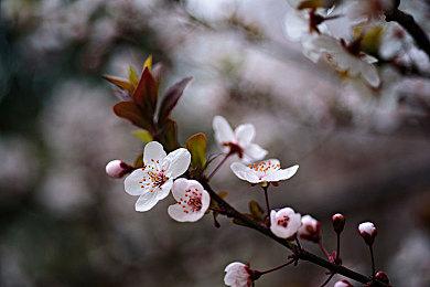 《深岩银河：幸存者》首周售出50万份 更新路线图公开